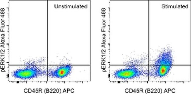 Phospho-ERK1/2 (Thr202, Tyr204) Antibody in Flow Cytometry (Flow)