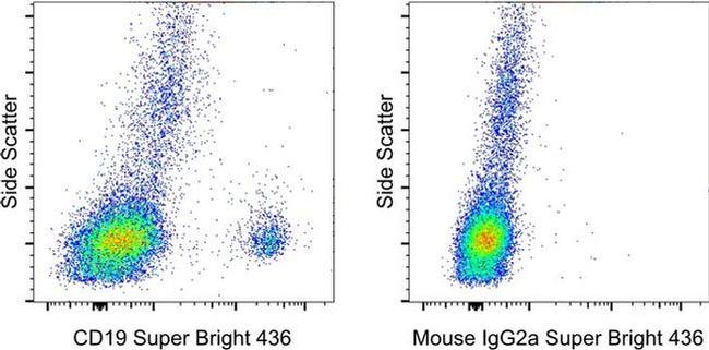 Mouse IgG2a kappa Isotype Control