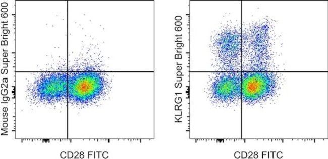 KLRG1 Antibody in Flow Cytometry (Flow)