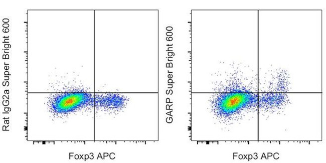 GARP Antibody in Flow Cytometry (Flow)