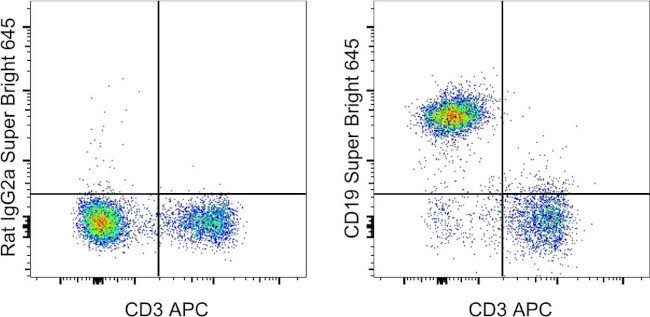 CD19 Antibody in Flow Cytometry (Flow)