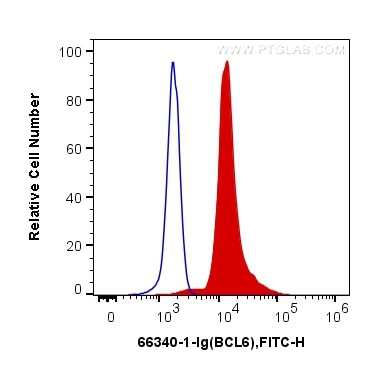 BCL6 Antibody in Flow Cytometry (Flow)