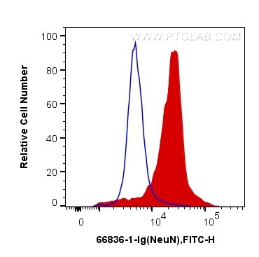 NeuN Antibody in Flow Cytometry (Flow)