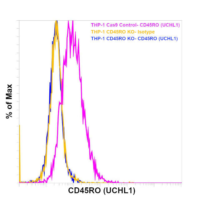 CD45RO Antibody