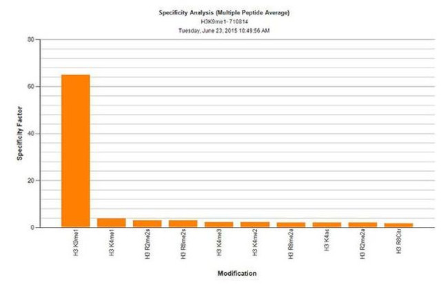 H3K9me1 Antibody in Peptide array (ARRAY)