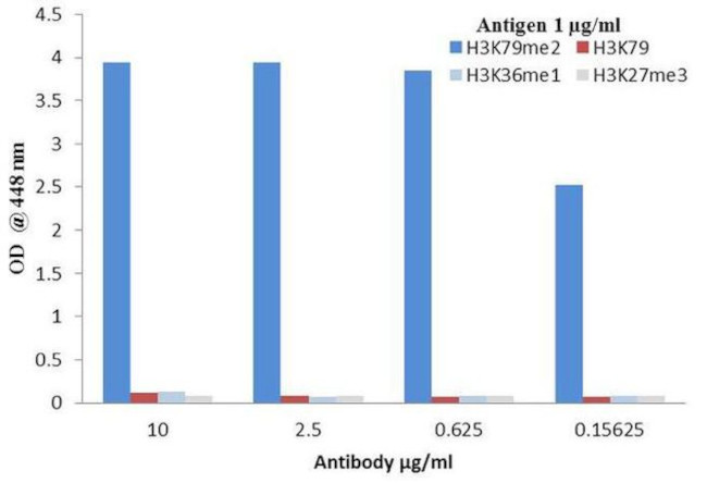 H3K9me2 Antibody in ELISA (ELISA)