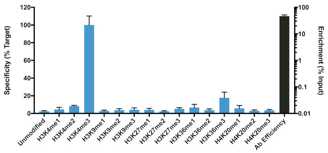 H3K4me3 Antibody