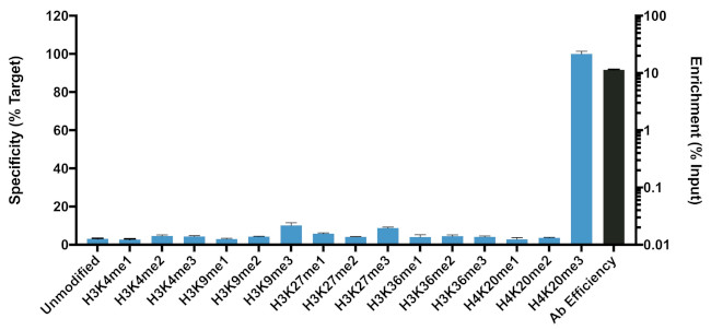 H4K20me3 Antibody