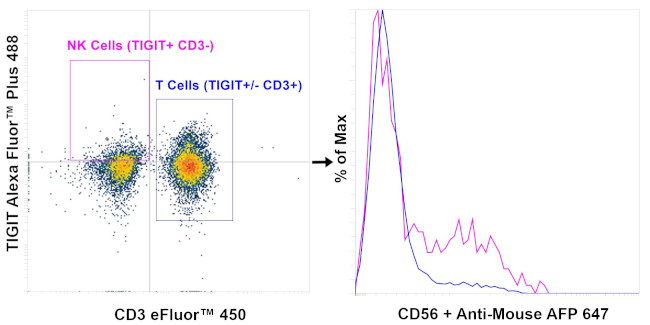 CD56 (NCAM) Antibody