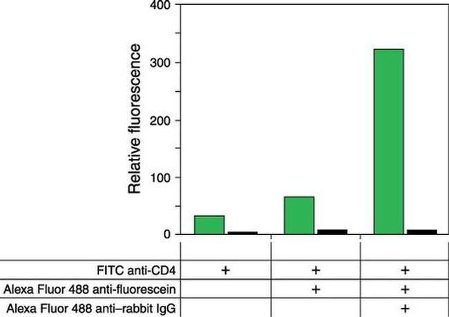 Fluorescein/Oregon Green Antibody