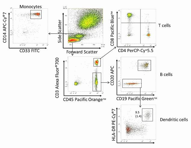 HLA-DR Antibody in Flow Cytometry (Flow)