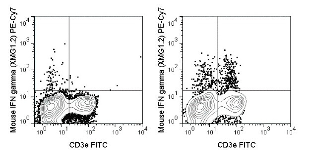 IFN gamma Antibody in Flow Cytometry (Flow)