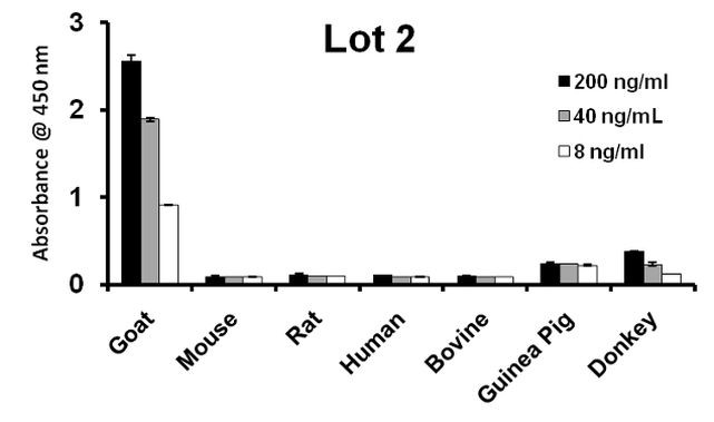 Goat IgG (Heavy Chain) Secondary Antibody in ELISA (ELISA)