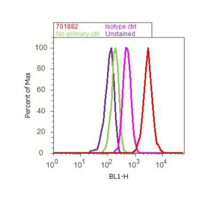 Rabbit IgG (Heavy chain) Secondary Antibody in Flow Cytometry (Flow)