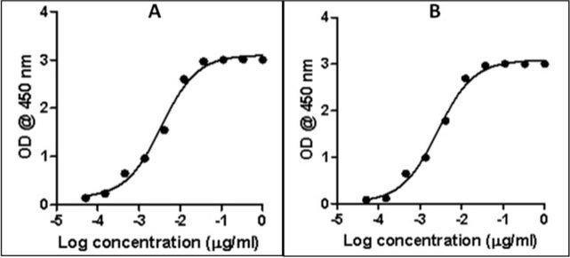 Rabbit IgG (Heavy chain) Secondary Antibody in ELISA (ELISA)