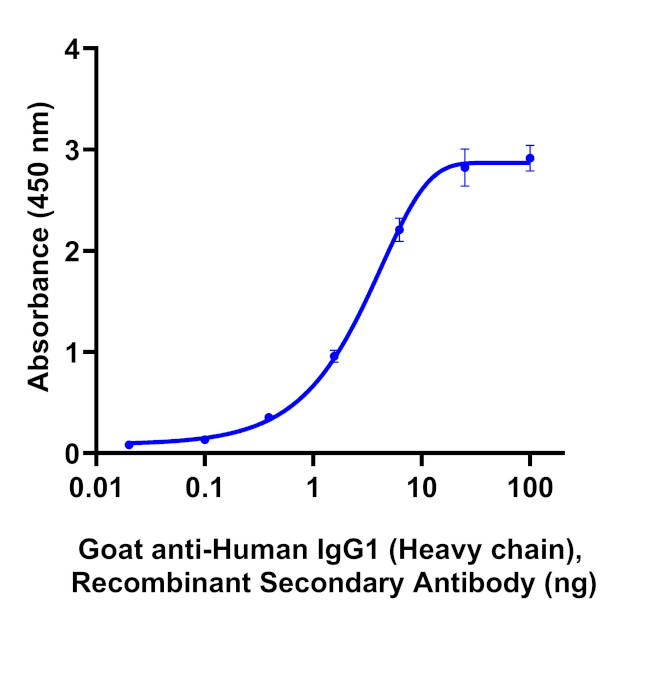 Human IgG1 (Heavy chain) Secondary Antibody in ELISA (ELISA)