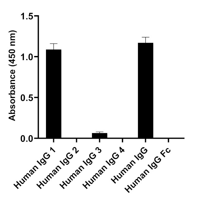 Human IgG1 (Heavy chain) Secondary Antibody in ELISA (ELISA)