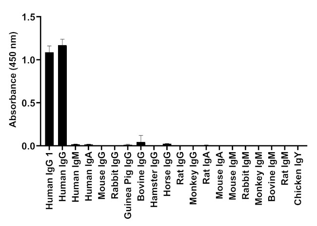 Human IgG1 (Heavy chain) Secondary Antibody