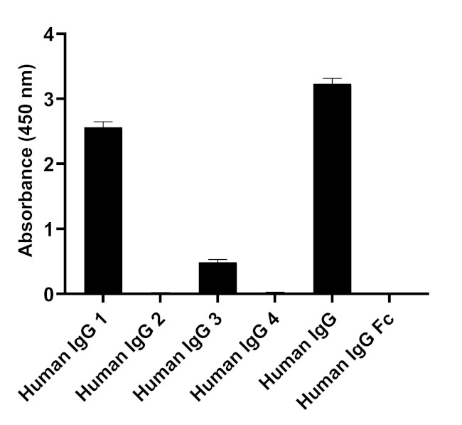 Human IgG1 (Heavy chain) Secondary Antibody in ELISA (ELISA)