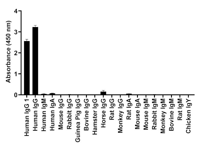 Human IgG1 (Heavy chain) Secondary Antibody