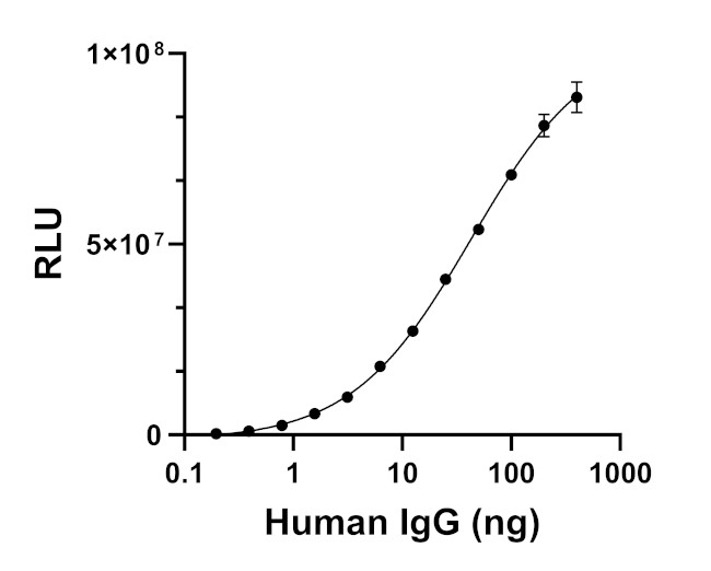 Human IgG (H+L) Secondary Antibody in ELISA (ELISA)