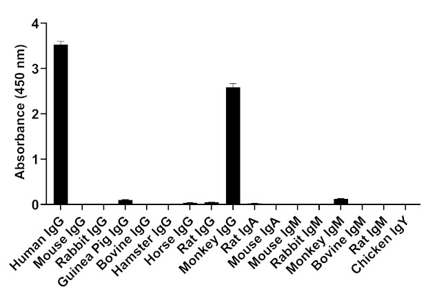 Human IgG (H+L) Secondary Antibody