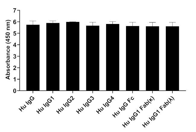 Human IgG (H+L) Secondary Antibody in ELISA (ELISA)