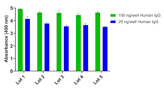 Human IgG (Light chain) Secondary Antibody in ELISA (ELISA)