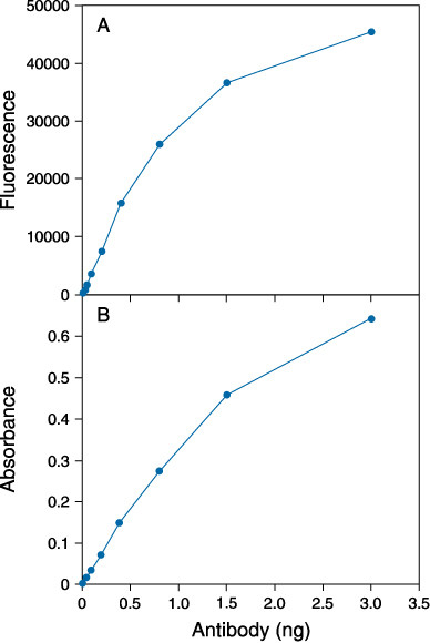 Fluorescein/Oregon Green Antibody