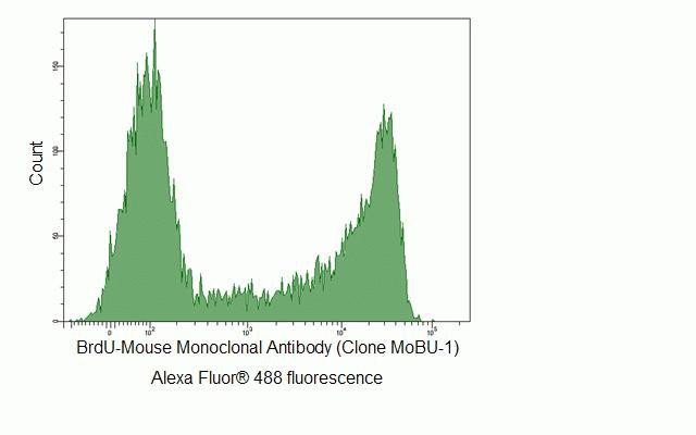 BrdU Antibody in Flow Cytometry (Flow)