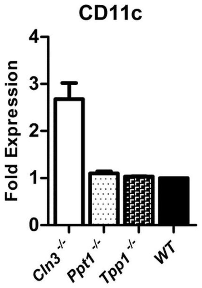 CD11c Antibody in Flow Cytometry (Flow)