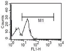 CD14 Antibody in Flow Cytometry (Flow)