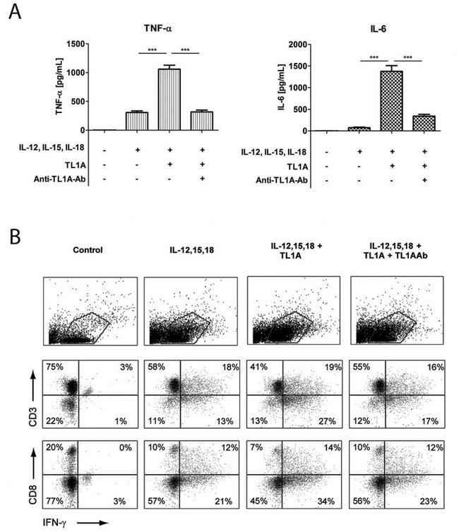 CD3 Antibody in Flow Cytometry (Flow)