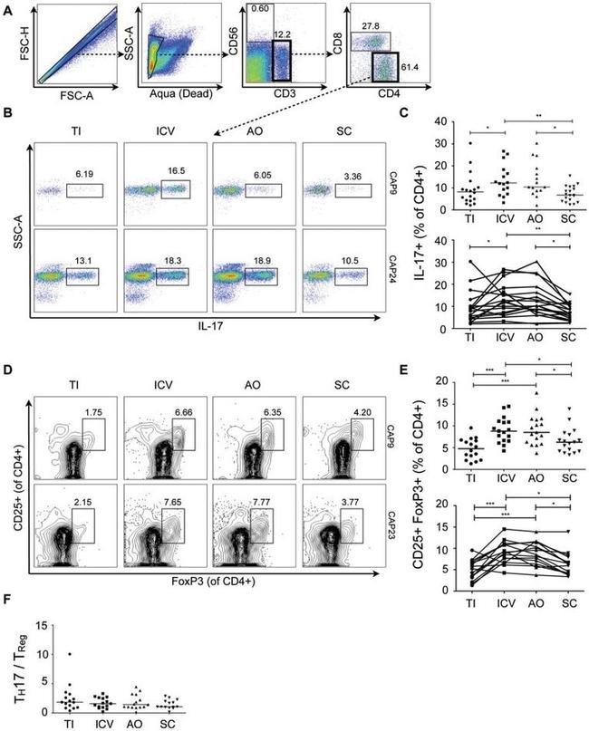 CD4 Antibody in Flow Cytometry (Flow)