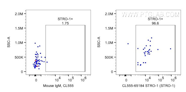 STRO-1 Antibody in Flow Cytometry (Flow)