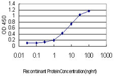 AKT2 Antibody in ELISA (ELISA)