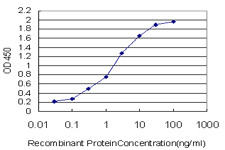 MAPK3 Antibody in ELISA (ELISA)