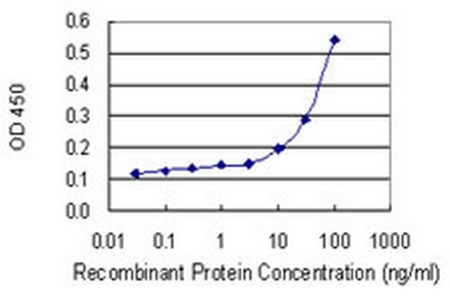 BCL2L11 Antibody in ELISA (ELISA)