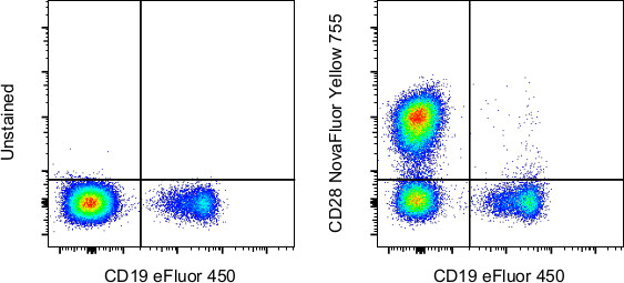 CD28 Antibody in Flow Cytometry (Flow)