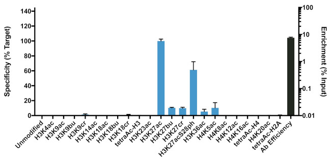 H3K27ac Antibody in ChIP Assay (ChIP)