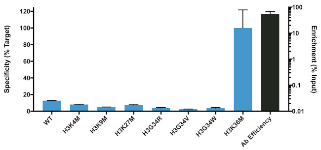 H3.3 K36M oncohistone mutant Antibody