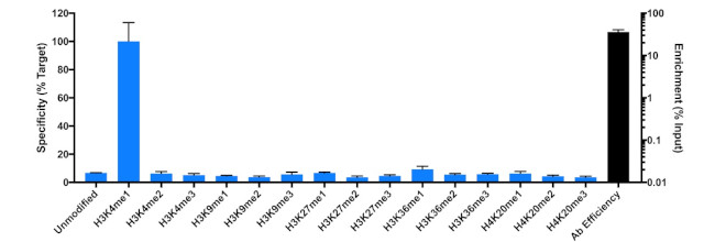 H3K4me1 Antibody