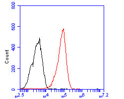 Dopamine Transporter Antibody in Flow Cytometry (Flow)