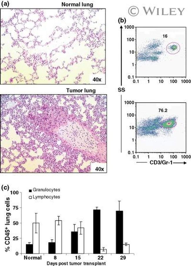 Ly-6G/Ly-6C Antibody in Flow Cytometry (Flow)