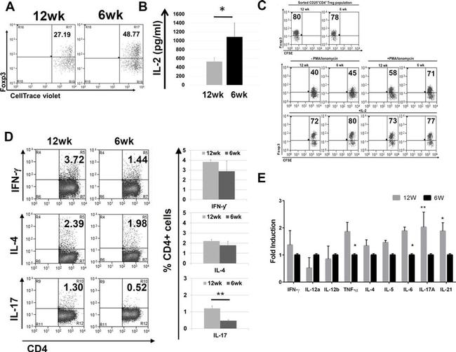 IL-17A Antibody in Flow Cytometry (Flow)