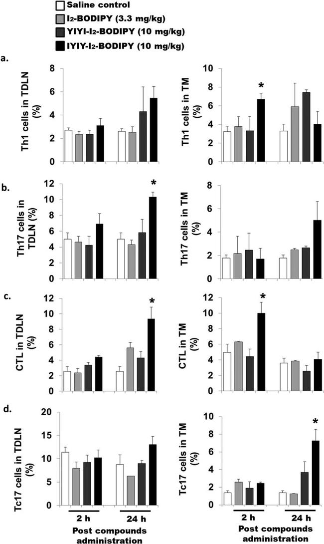 IL-17A Antibody in Flow Cytometry (Flow)