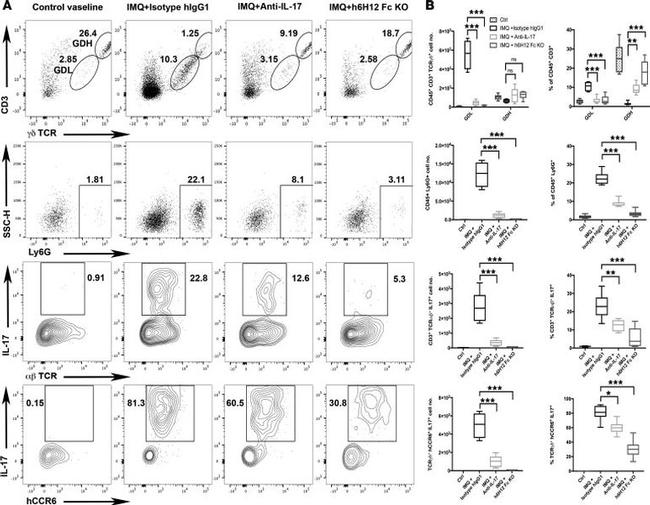 IL-17A Antibody in Flow Cytometry (Flow)