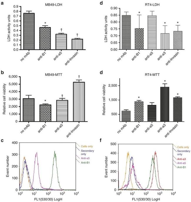 CD29 (Integrin beta 1) Antibody in Flow Cytometry (Flow)