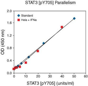 Multispecies STAT3 (Phospho) [pY705] ELISA Kit