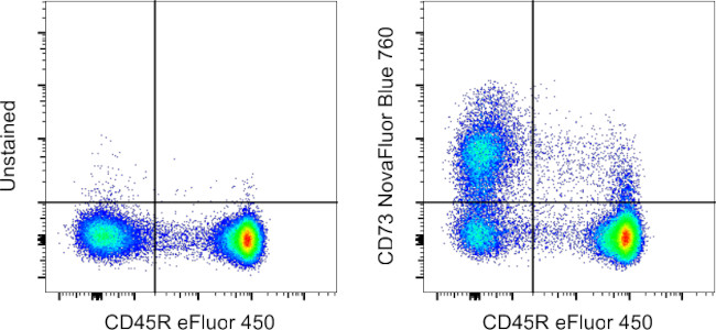 CD73 Antibody in Flow Cytometry (Flow)